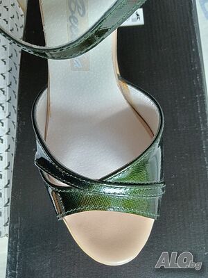 image_8