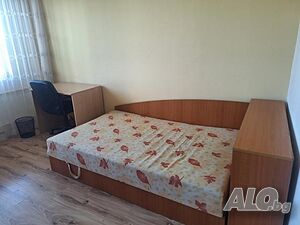 Стая под наем Мусагеница
