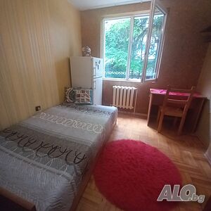 Стая под наем - Борово
