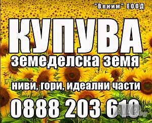 Купувам зем. земя в общините на област Велико Търново! Плащане ВЕДНАГА!!!