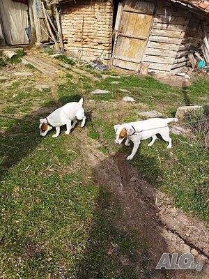 image_10