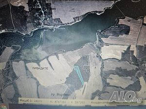 image_10