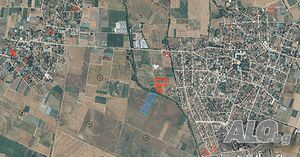 Продавам 12 дка земя в землището на с. Калековец