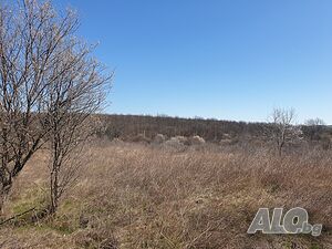 image_10