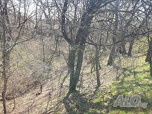 image_7