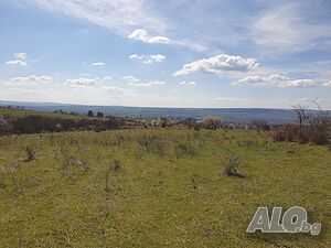 image_8