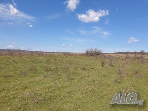 image_10