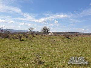 image_11