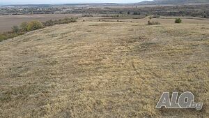Продавам земеделски имоти в землището на с. Имренчево, обл. Шумен