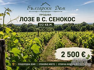 Продава се лозе в с. Сенокос, обл. Добрич, общ. Балчик за 2500€