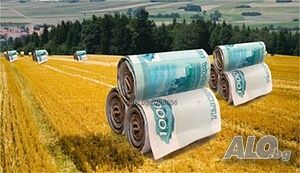 Продава се земеделска земя в с. Дебрене, общ. Добрич - 25дка, кат.3 за 4200лв/дка!