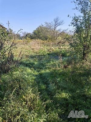 image_10