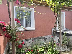 image_15