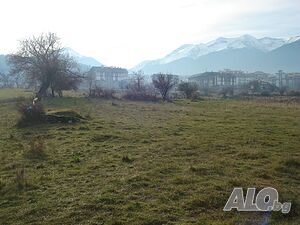 image_6