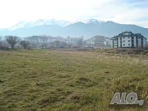 image_7
