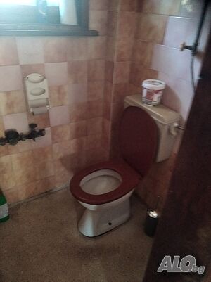 Продава имот в Брястово, общ Мин бани