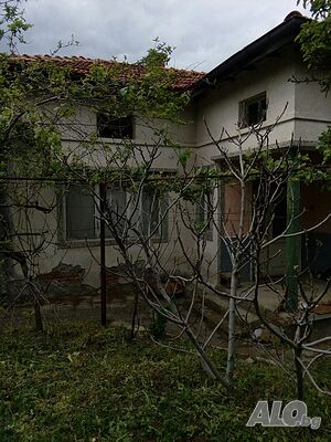 image_10