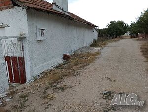 image_9