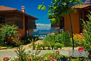 image_15
