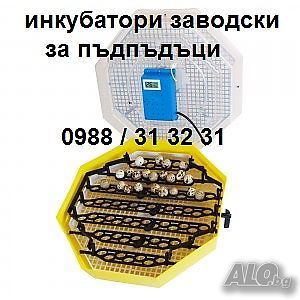 Заводски полуавтоматичен румънски инкубатор за пилета. Инкубатори за яйца с дисплей.