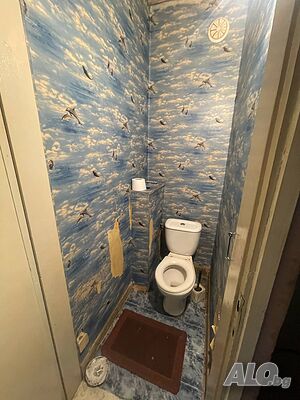 image_7