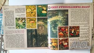 image_6