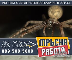 image_11