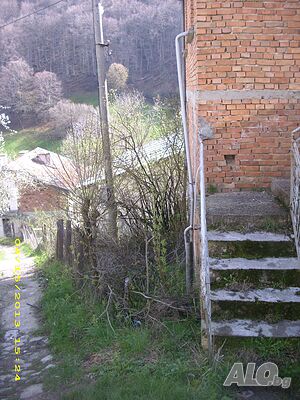 image_3