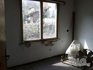 image_11
