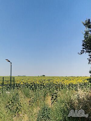 Парцел Пазарджик шосе