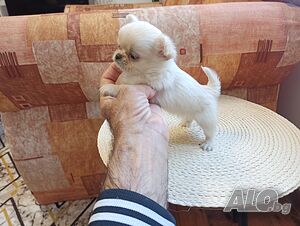 image_4