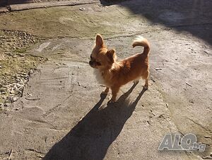 image_9