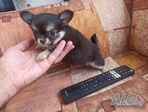 image_3