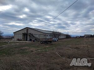 image_5