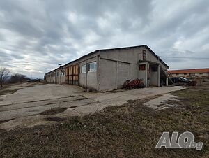 image_6