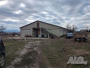 image_7