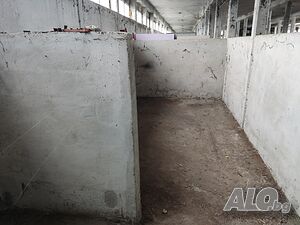 image_9