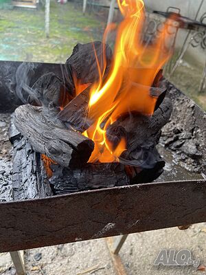 image_9