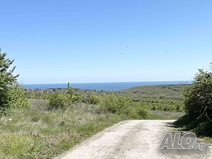 image_11