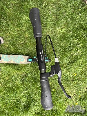 image_3