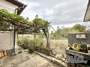 image_15