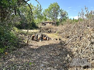 image_11