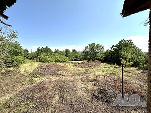 image_15