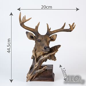 image_2