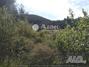 image_2
