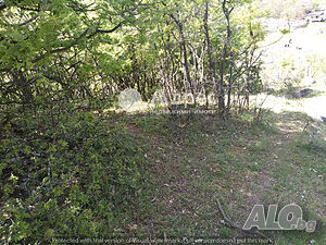 image_6