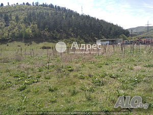 image_3
