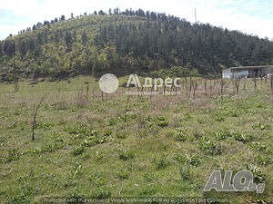 image_2