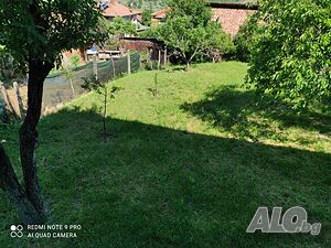image_12