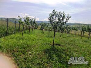 image_2